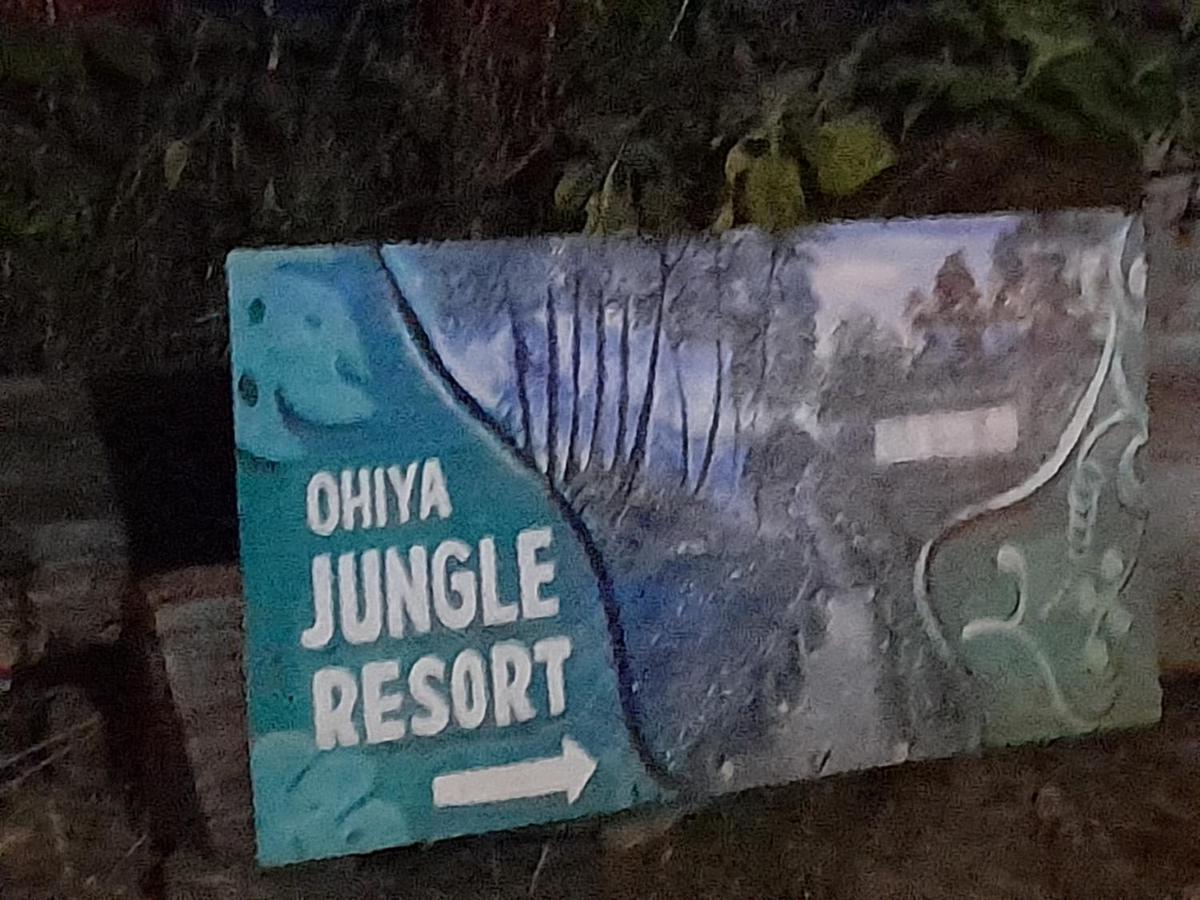 Ohiya Jungle Resort Exterior photo